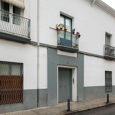 Alohamundi Pasion Apartman Sevilla Kültér fotó